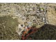 Lot 94/ Bursaria Place, Lithgow NSW 2790