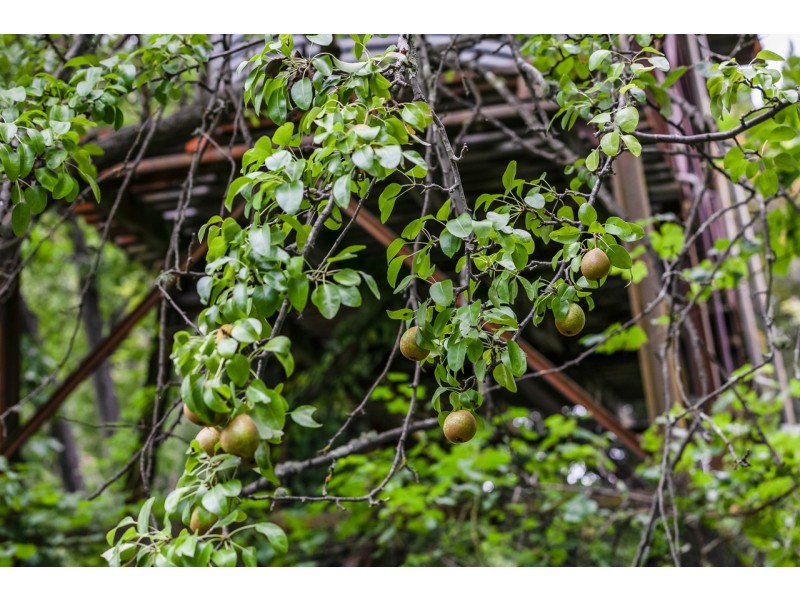 1384 Castlereagh Highway, Lidsdale NSW 2790