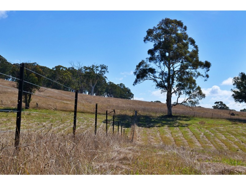 Lot 8 Portland Cullen Bullen Road, Portland NSW 2847