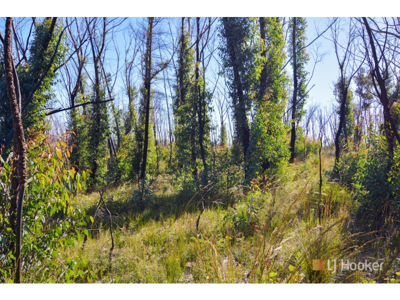 70 Valley View Road, Dargan NSW 2786