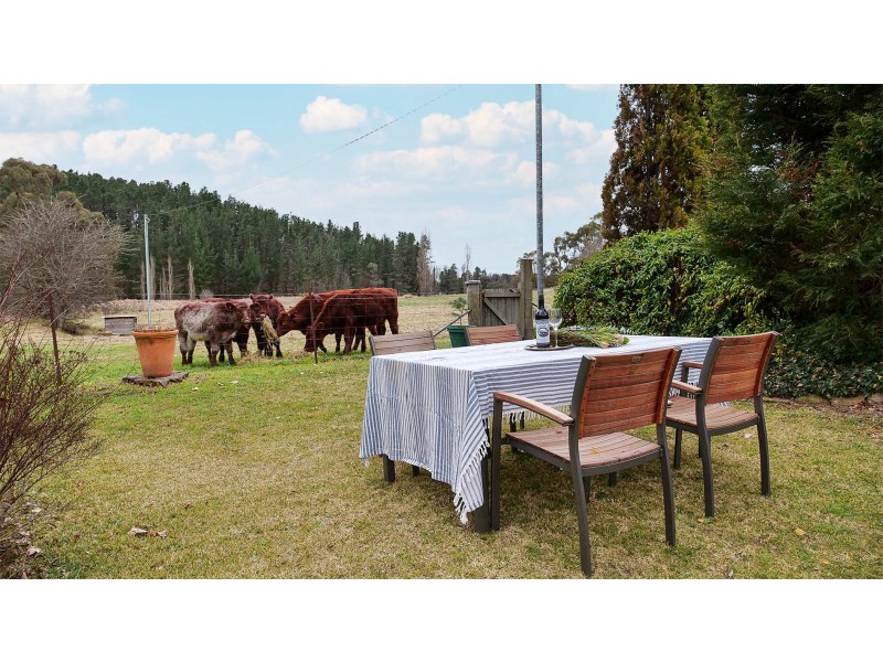 111 Ian Holt Drive, Lidsdale NSW 2790