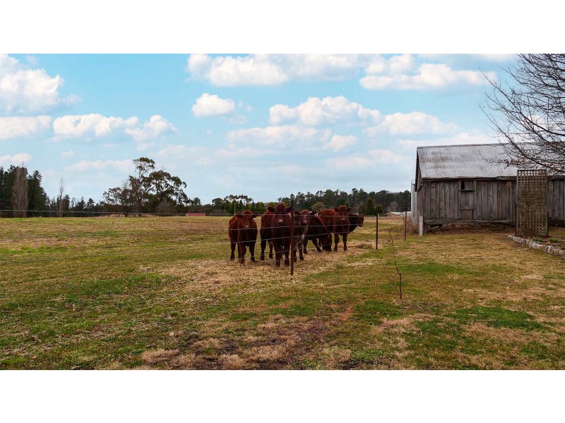 111 Ian Holt Drive, Lidsdale NSW 2790