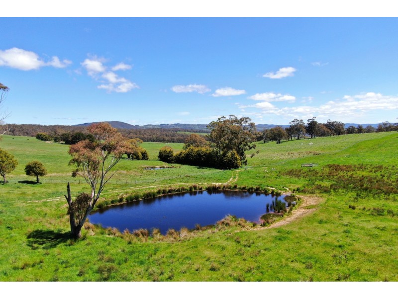 79 Jerrys Meadow Road, Sodwalls NSW 2790