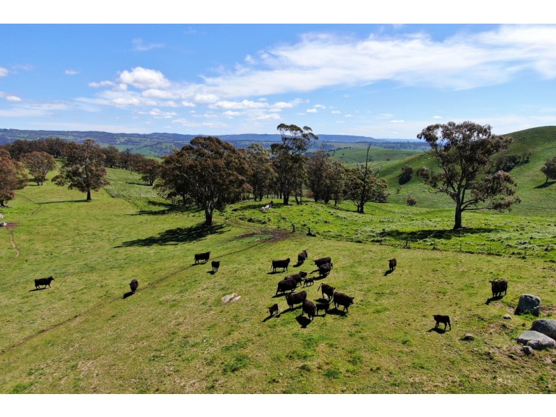 79 Jerrys Meadow Road, Sodwalls NSW 2790