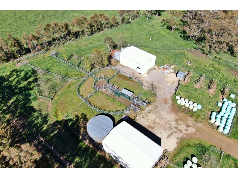 79 Jerrys Meadow Road, Sodwalls NSW 2790