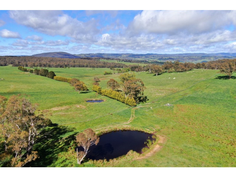 79 Jerrys Meadow Road, Sodwalls NSW 2790