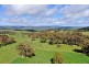79 Jerrys Meadow Road, Sodwalls NSW 2790