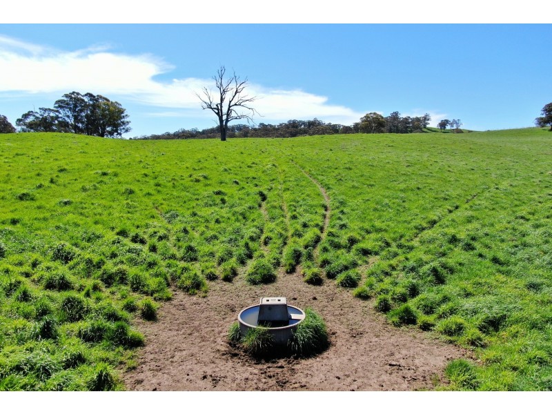 79 Jerrys Meadow Road, Sodwalls NSW 2790