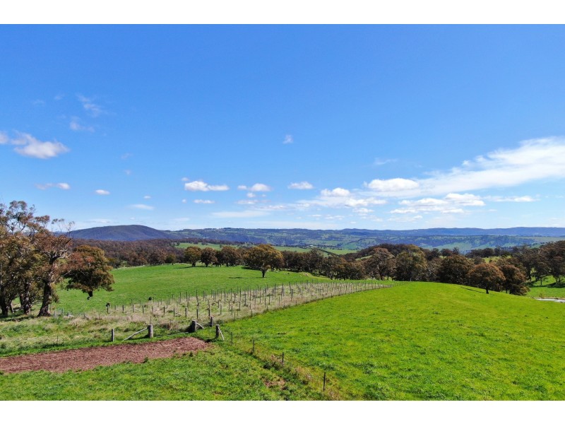 79 Jerrys Meadow Road, Sodwalls NSW 2790