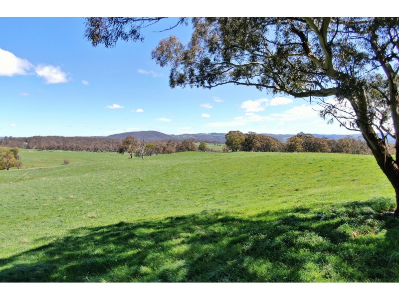 79 Jerrys Meadow Road, Sodwalls NSW 2790