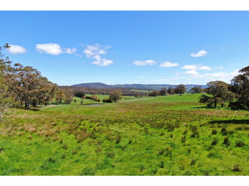 79 Jerrys Meadow Road, Sodwalls NSW 2790