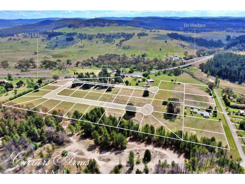 103 Ian Holt Drive, Lidsdale NSW 2790