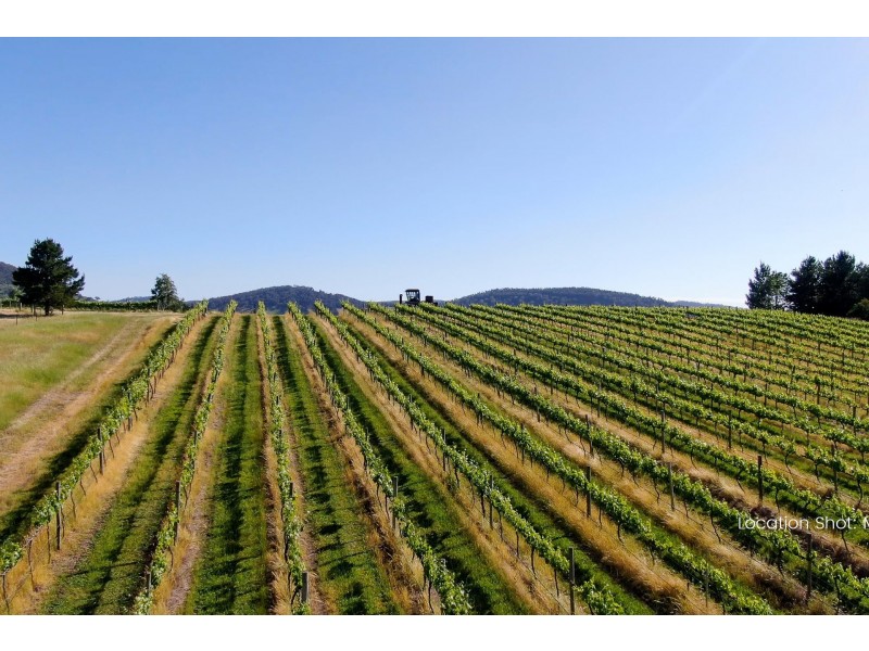 103 Ian Holt Drive, Lidsdale NSW 2790