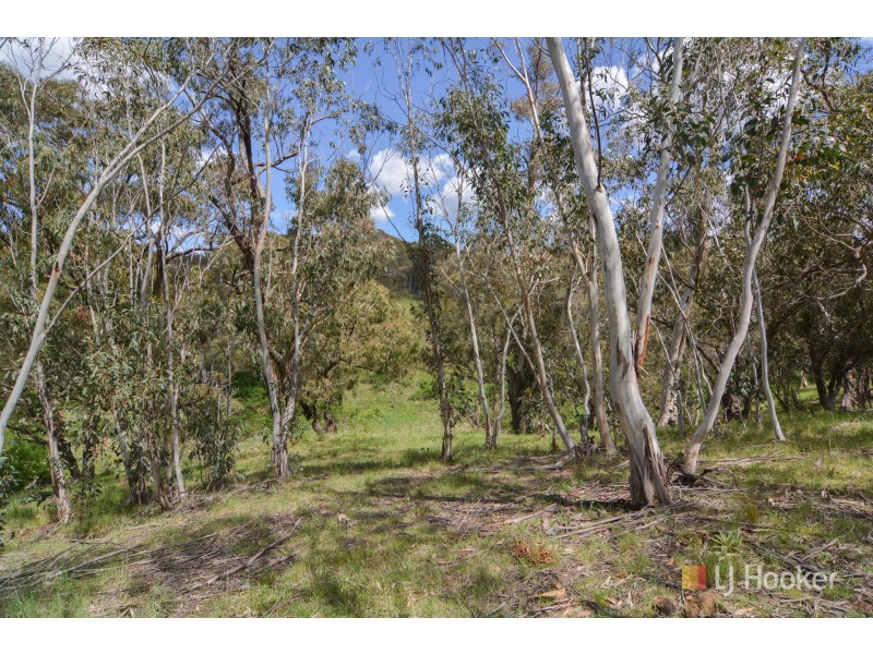 80 & 82 Park View Avenue, Portland NSW 2847