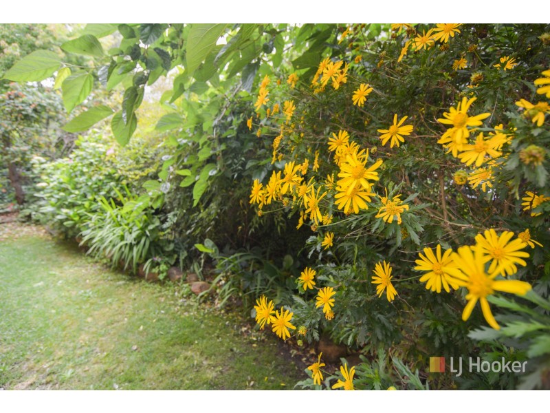 111 Williwa Street, Portland NSW 2847