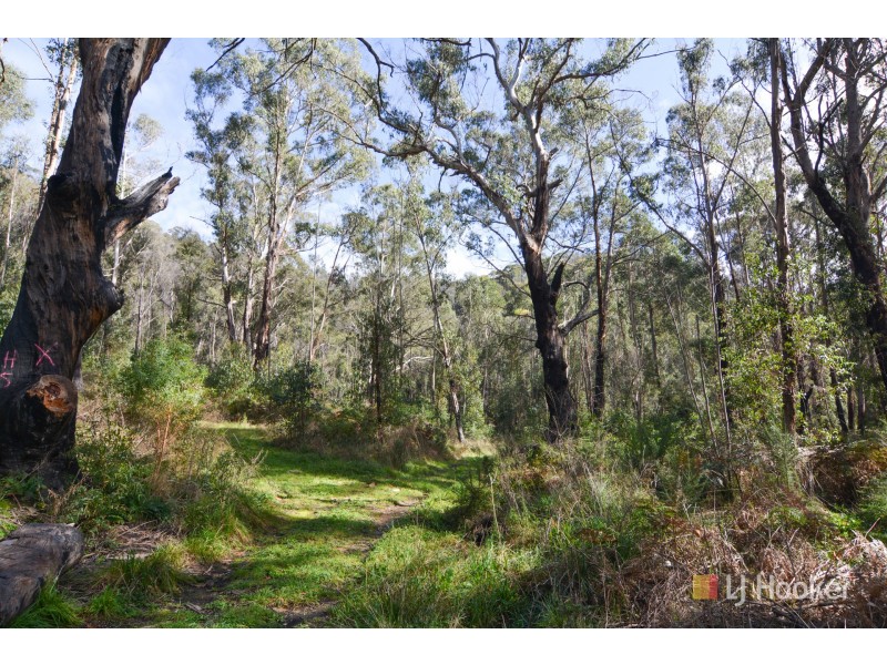 Off Gell & Hepburn Street, Lithgow NSW 2790