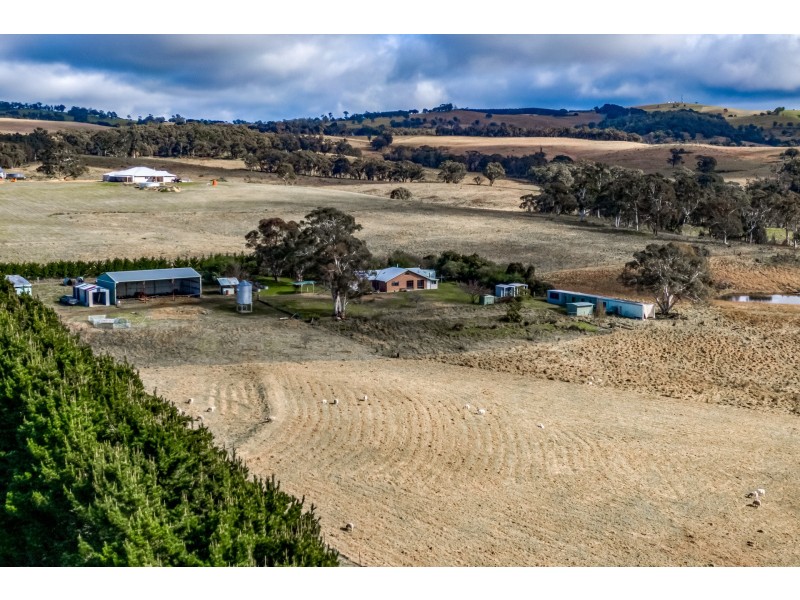 364 Thompsons Creek Road, Pipers Flat NSW 2847