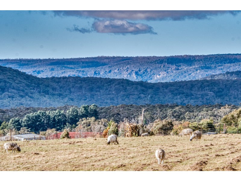 364 Thompsons Creek Road, Pipers Flat NSW 2847