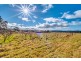 364 Thompsons Creek Road, Pipers Flat NSW 2847