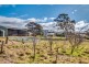 364 Thompsons Creek Road, Pipers Flat NSW 2847