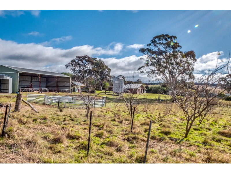 364 Thompsons Creek Road, Pipers Flat NSW 2847