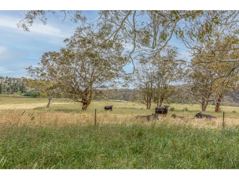 Range Road, Pipers Flat NSW 2847