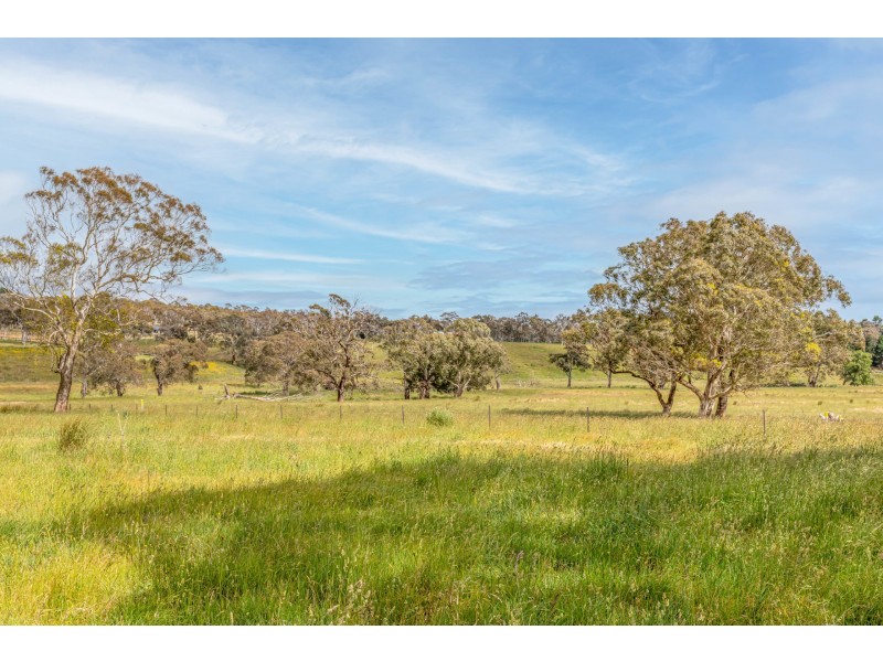 Range Road, Pipers Flat NSW 2847