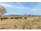 Range Road, Pipers Flat NSW 2847