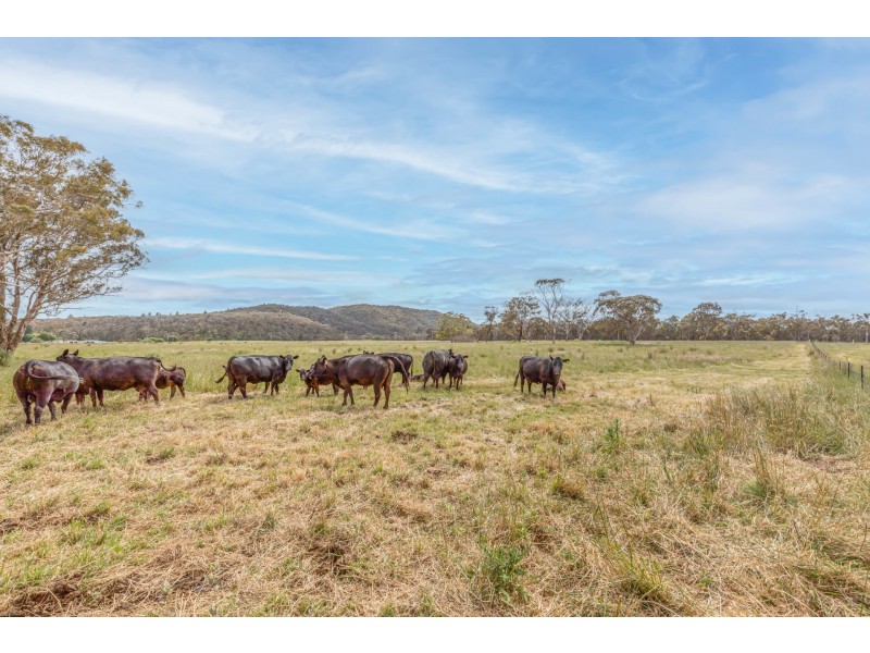 Range Road, Pipers Flat NSW 2847