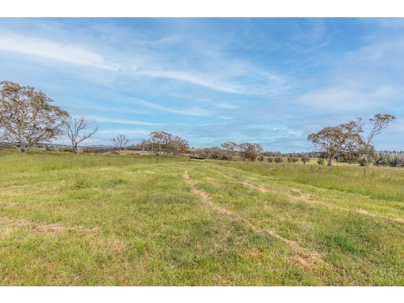 Range Road, Pipers Flat NSW 2847