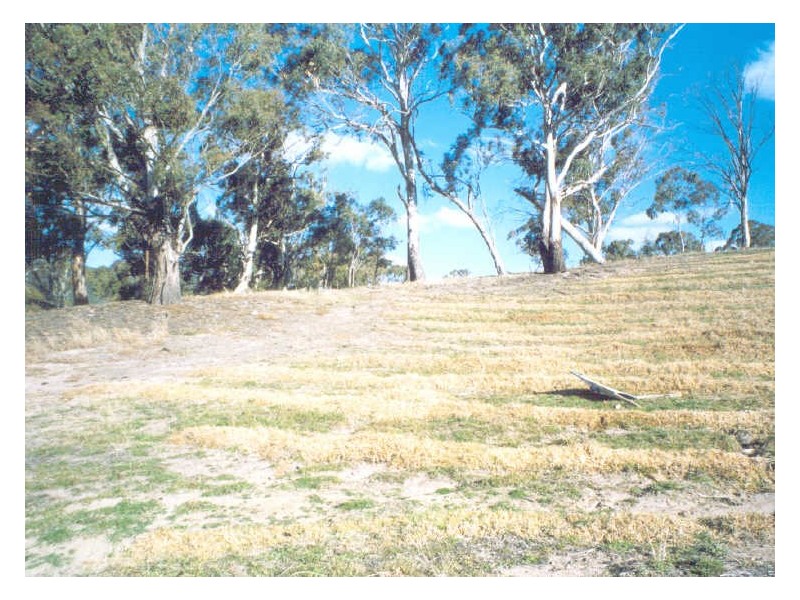 Lot 203 Cameron Place, Bowenfels NSW 2790