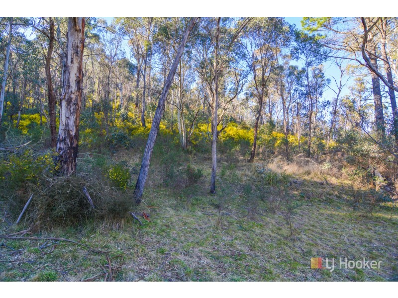 Lot 6 State Mine Gully Road, Lithgow NSW 2790