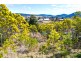 88 Wrights Road, Lithgow NSW 2790