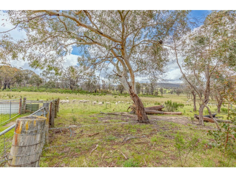 16 Camerons Road, Running Stream NSW 2850