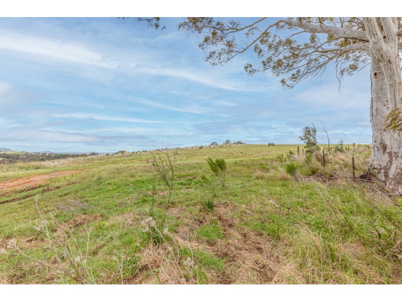 16 Camerons Road, Running Stream NSW 2850
