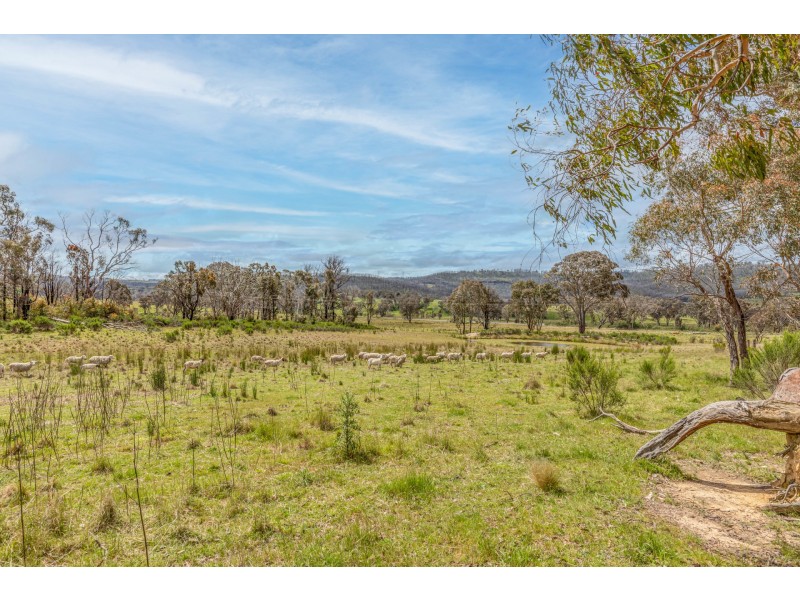 16 Camerons Road, Running Stream NSW 2850