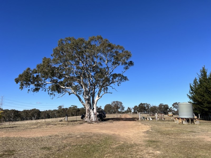 108 Hearne Lane, Running Stream NSW 2850