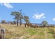 Lot 6 Curly Dick Road, Meadow Flat NSW 2795