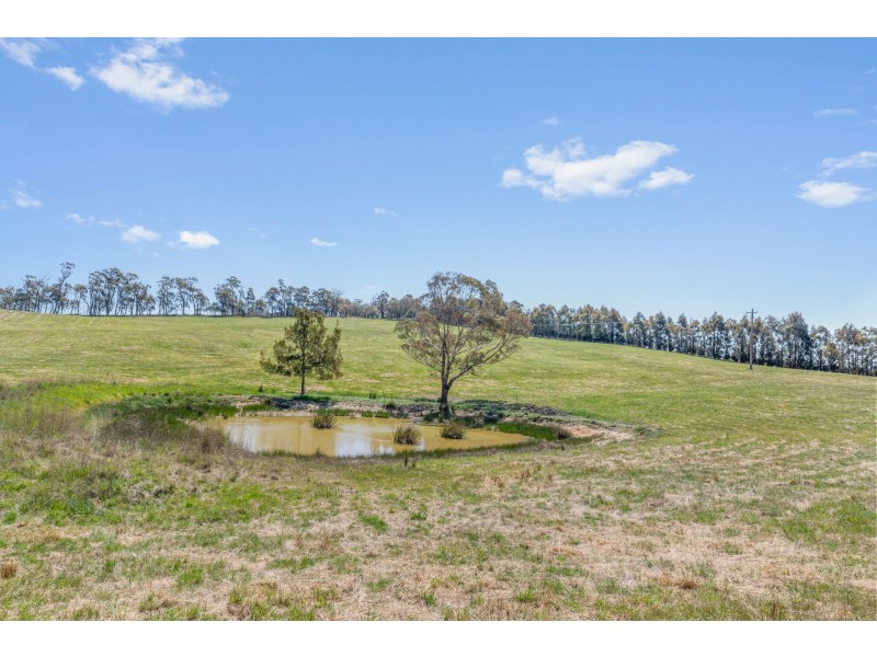 Lot 6 Curly Dick Road, Meadow Flat NSW 2795