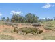 Lot 6 Curly Dick Road, Meadow Flat NSW 2795
