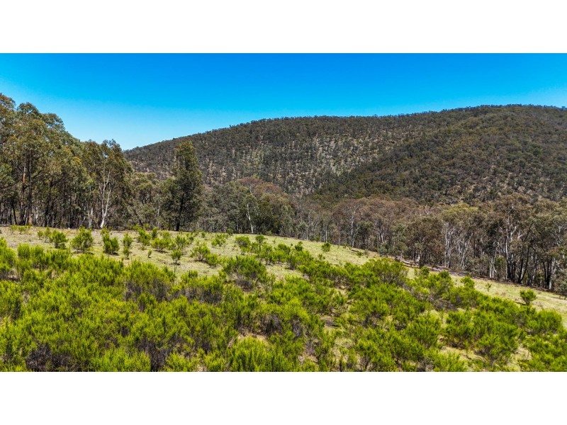 94 Oakey Forest Road, Marrangaroo NSW 2790