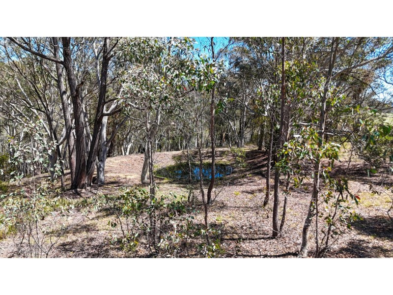 94 Oakey Forest Road, Marrangaroo NSW 2790