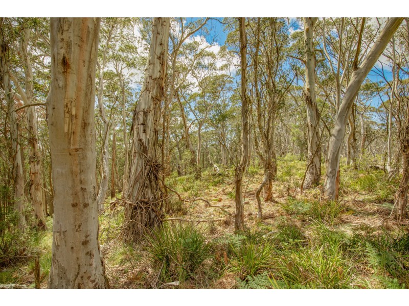 Lot 130 Bonaventure Road, Mount Lambie NSW 2790