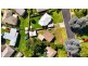 29 Maple Crescent, Lithgow NSW 2790