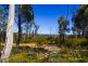 289 Chifley Road, Dargan NSW 2786
