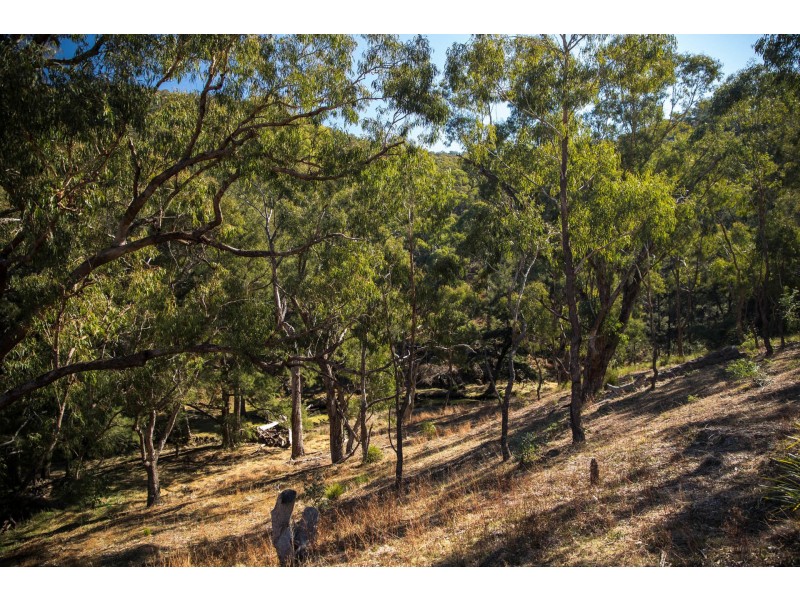 5 Upper Turon Road, Capertee NSW 2846