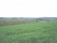 Lot 18 Portland Road, Cullen Bullen NSW 2790