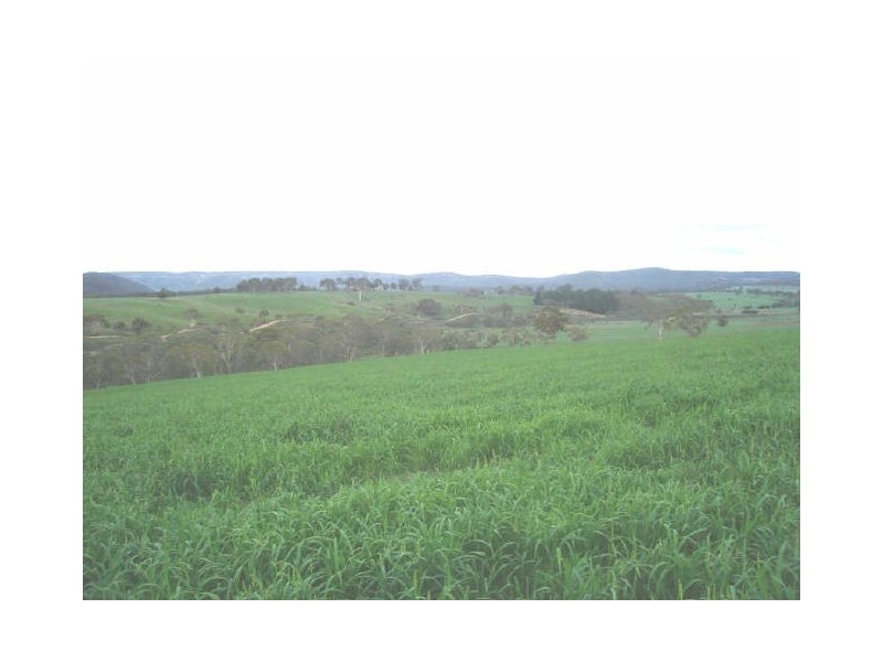 Lot 18 Portland Road, Cullen Bullen NSW 2790