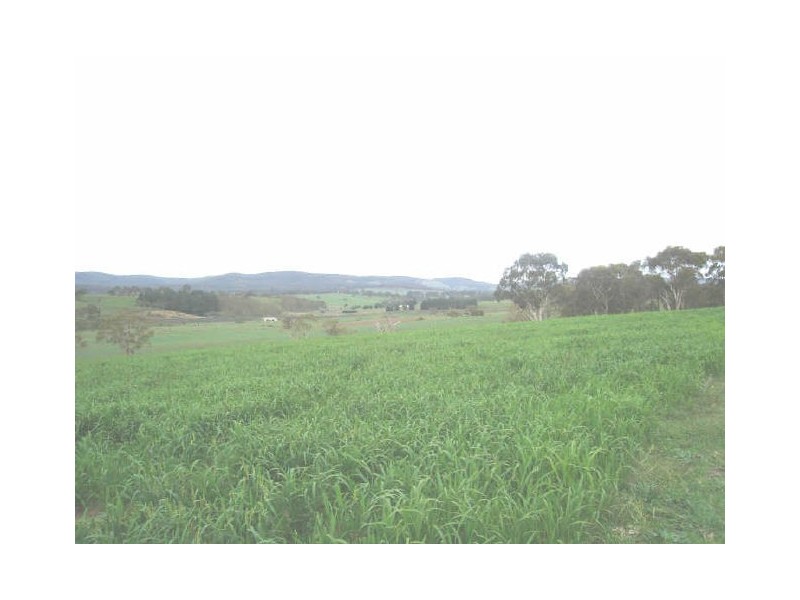 Lot 18 Portland Road, Cullen Bullen NSW 2790