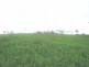 Lot 18 Portland Road, Cullen Bullen NSW 2790